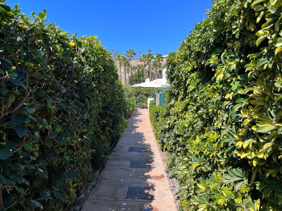 Ahtha Green Bungalow Maspalomas San Bartolomé Zewnętrze zdjęcie