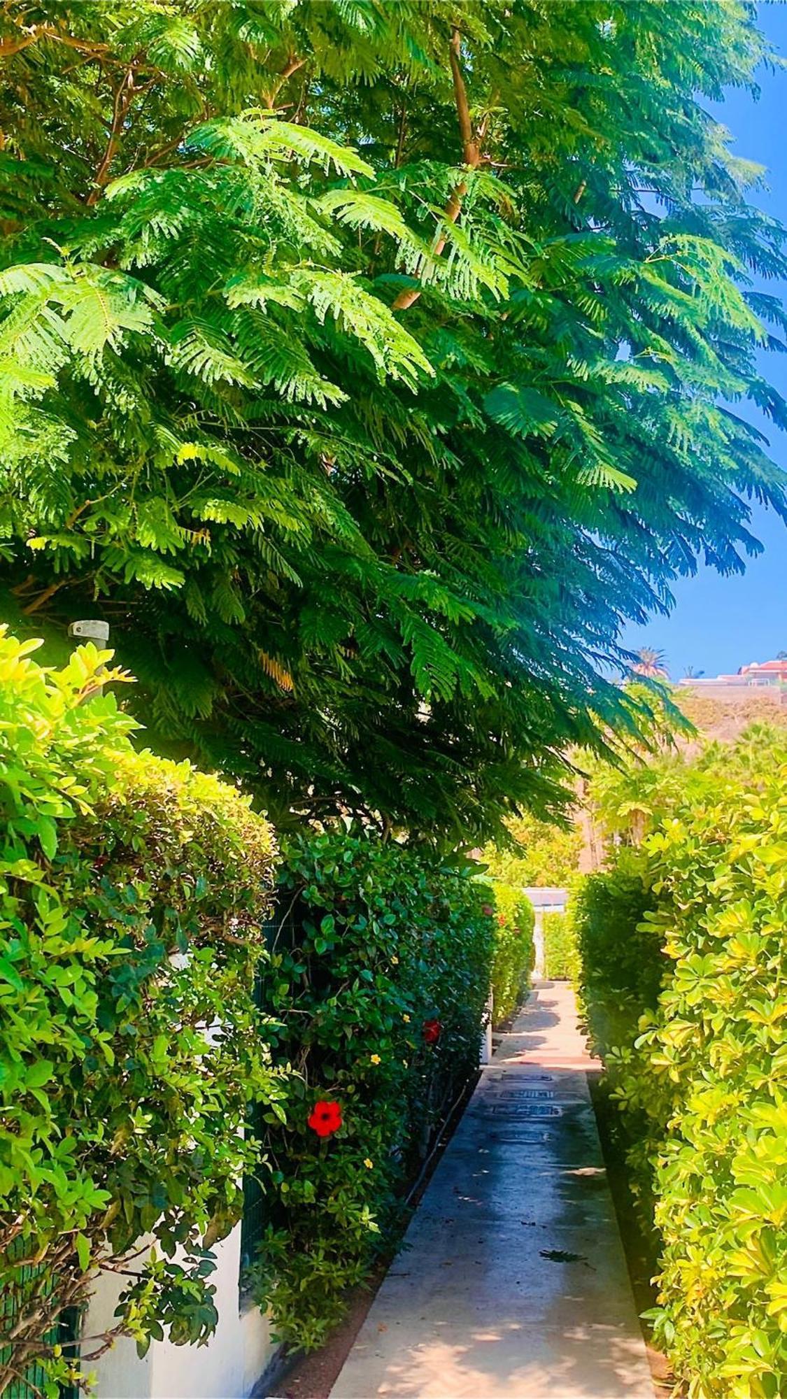 Ahtha Green Bungalow Maspalomas San Bartolomé Zewnętrze zdjęcie
